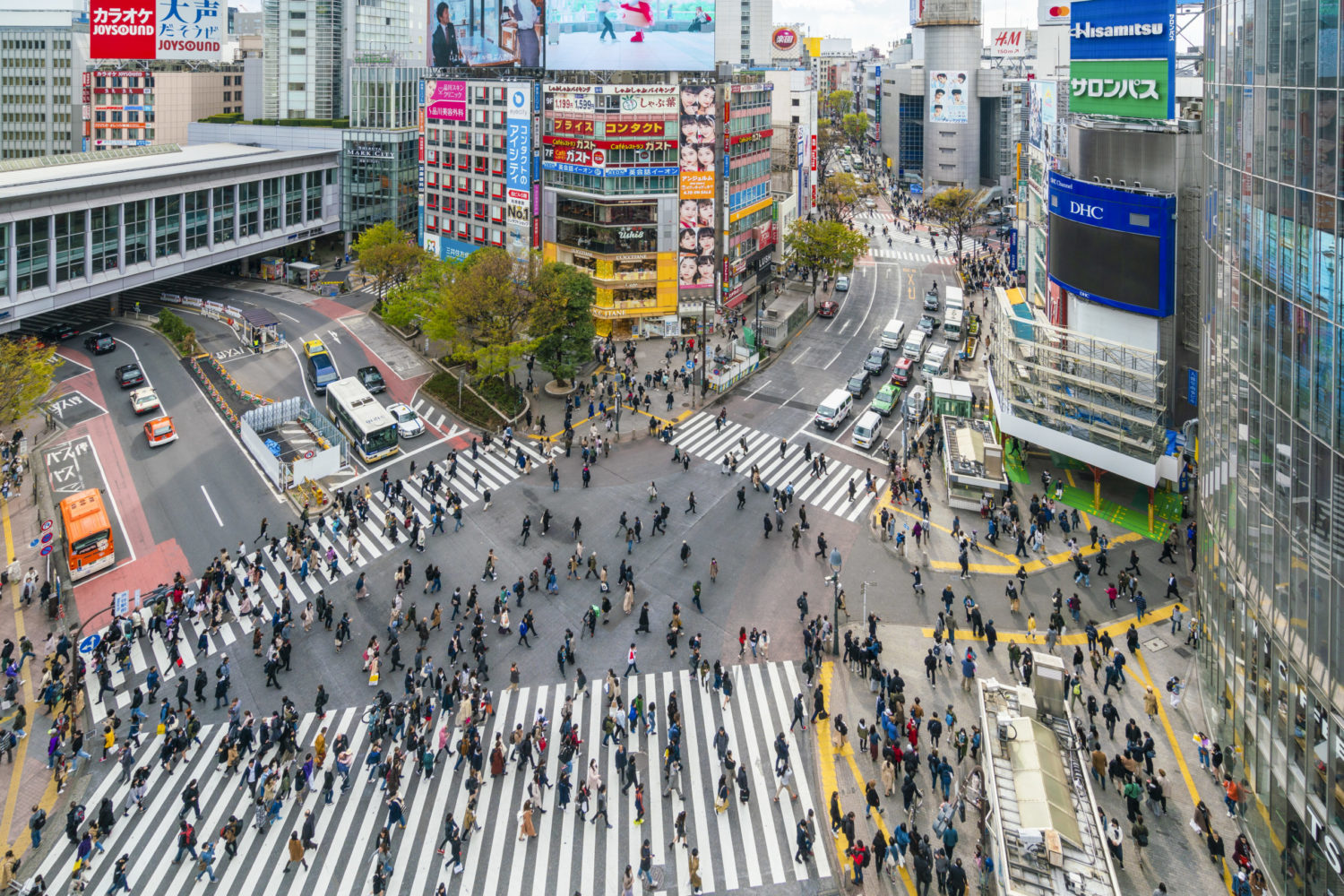 Tokyo: Pedestrian crowd at Shibuya crossing